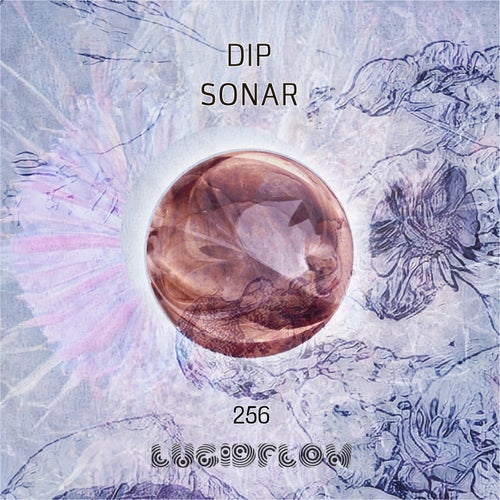 Dip - Sonar [LF256]